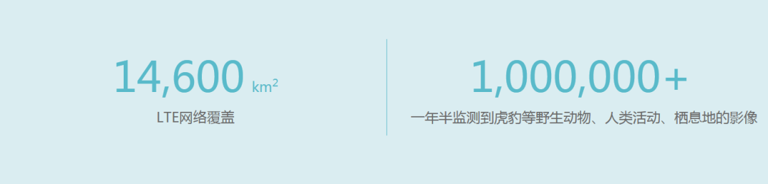 九游会j9网站首页 | 智慧的“眼睛”，AI守护珍稀动物