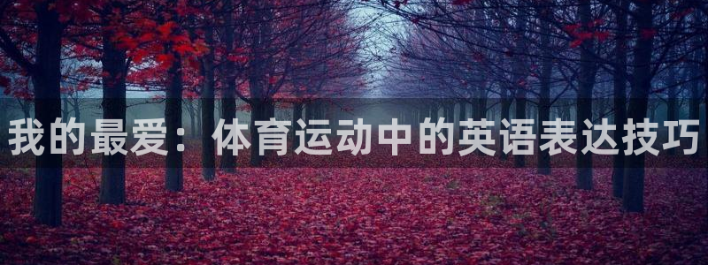 oety欧亿体育官网下载平台注册流程视频:我的最爱:体育运动